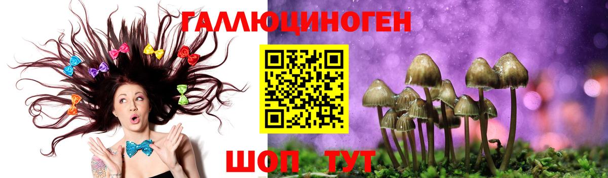 Псилоцибиновые грибы прущие грибы  Вход с VPN  Кореновск 